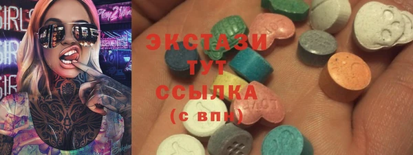 твердый Новодвинск
