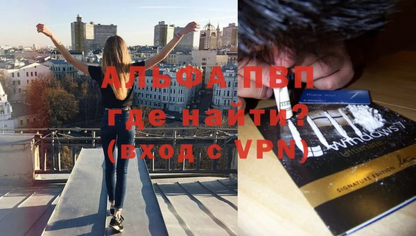 твердый Новодвинск