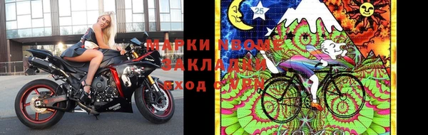 твердый Новодвинск