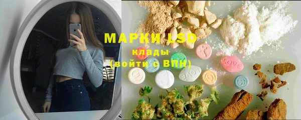 твердый Новодвинск
