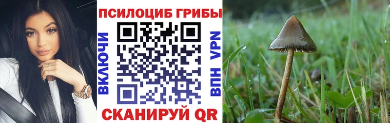 Псилоцибиновые грибы GOLDEN TEACHER  купить закладку  Алдан 